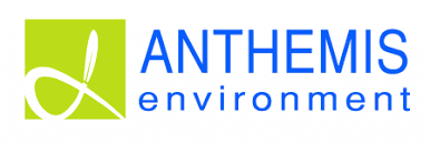 Anthemis